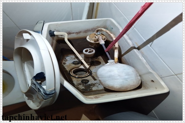 Đang l&agrave;m sạch k&eacute;t nước bồn cầu