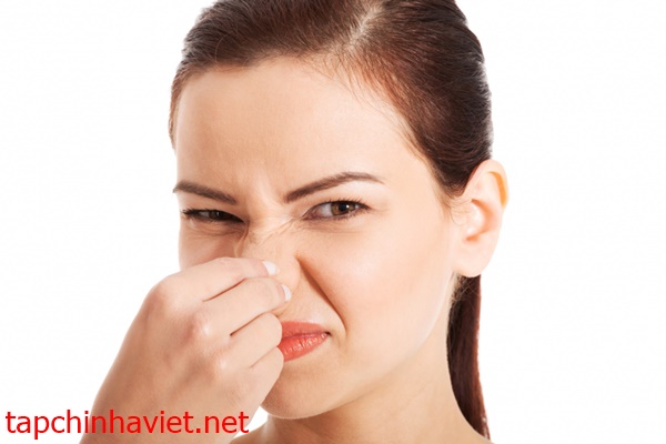 t&aacute;c hại từ m&ugrave;i h&ocirc;i cống tho&aacute;t nước